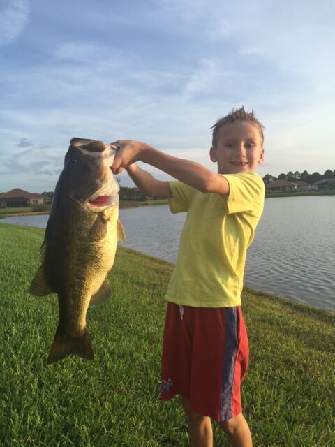 During National Fishing and Boating Week most states offer free fishing days! #NFBW ow.ly/8Iri300R6Ir