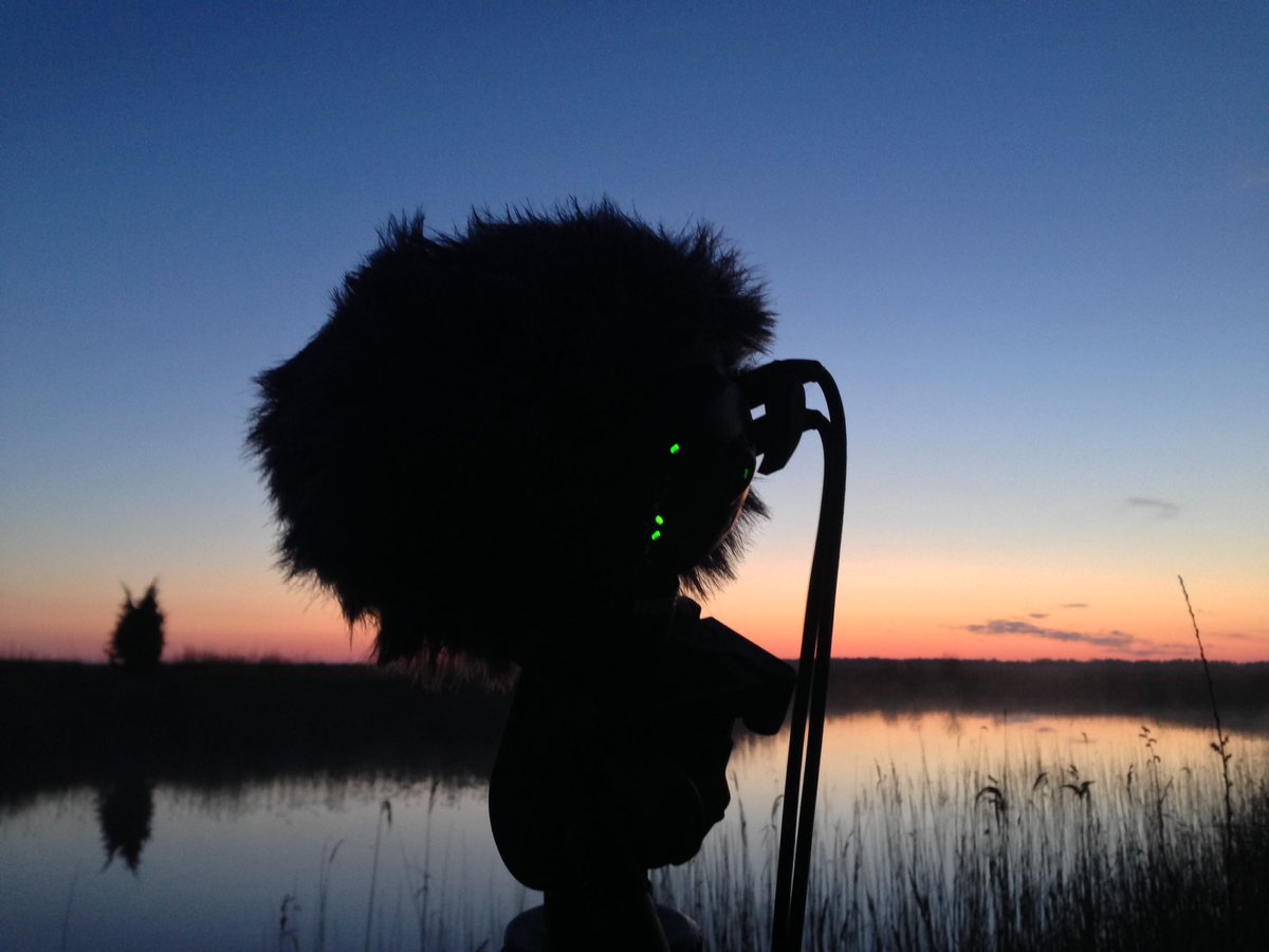 Eaglewood Pictures tweet media