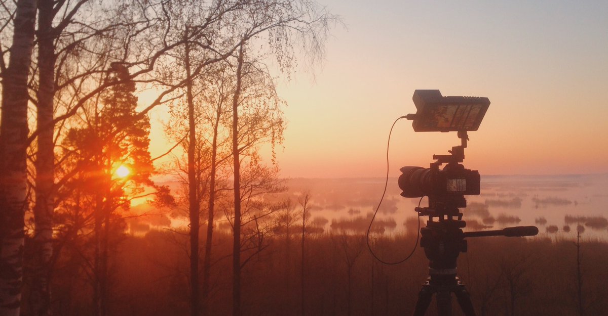 Eaglewood Pictures tweet media