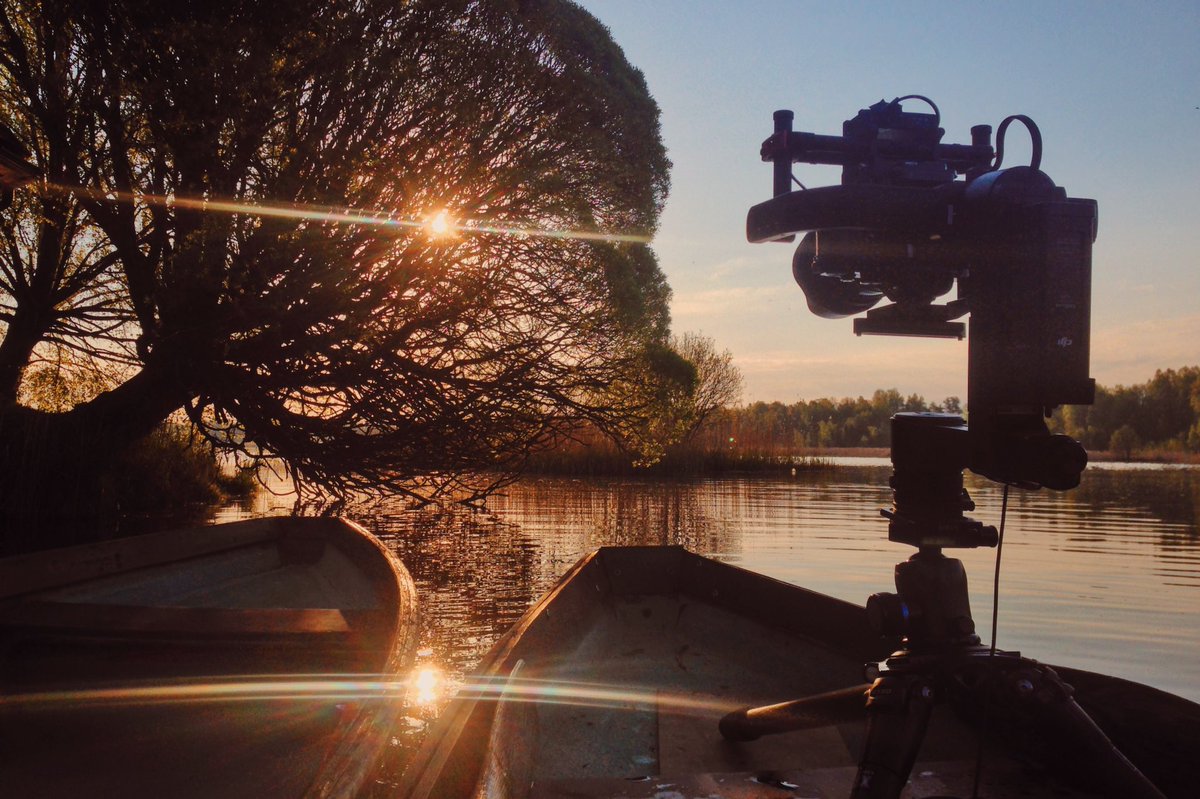 Eaglewood Pictures tweet media