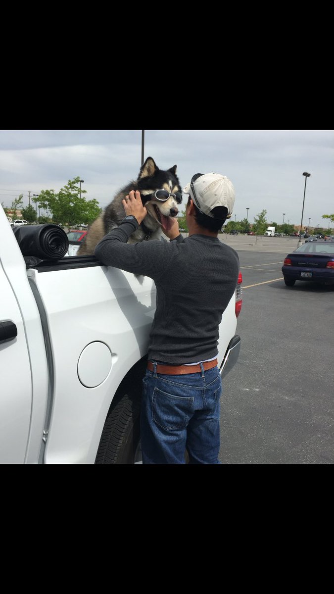 Jose_Snatched's tweet photo. My aunt said that she doesn't want her dogs eyeballs to get dry when he's in the back of the pick-up.. https://t.co/MTrpokWlMn