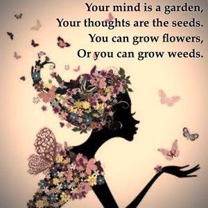 thesecret's tweet photo. The law of harvest is to reap more than you sow. Sow an act &amp; you reap a habit. Sow a habit and you reap a character https://t.co/4kdFCxseZ1