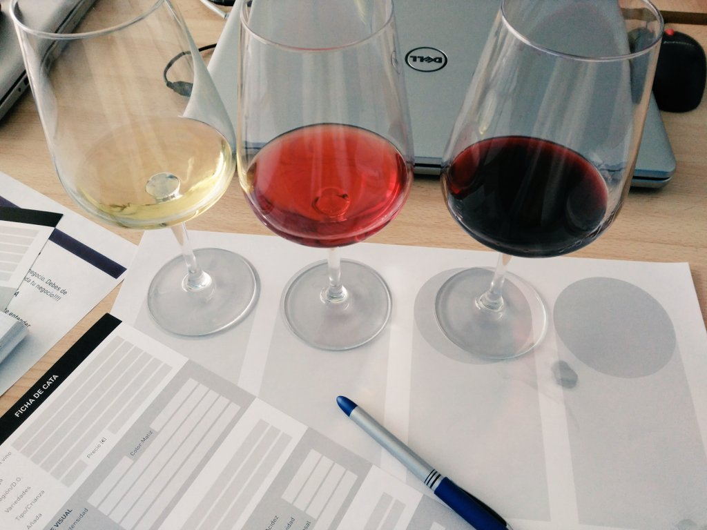 Sofía T. González tweet media