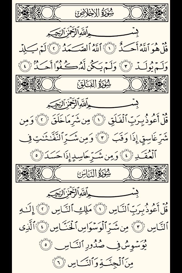 بــدر العنزي tweet media