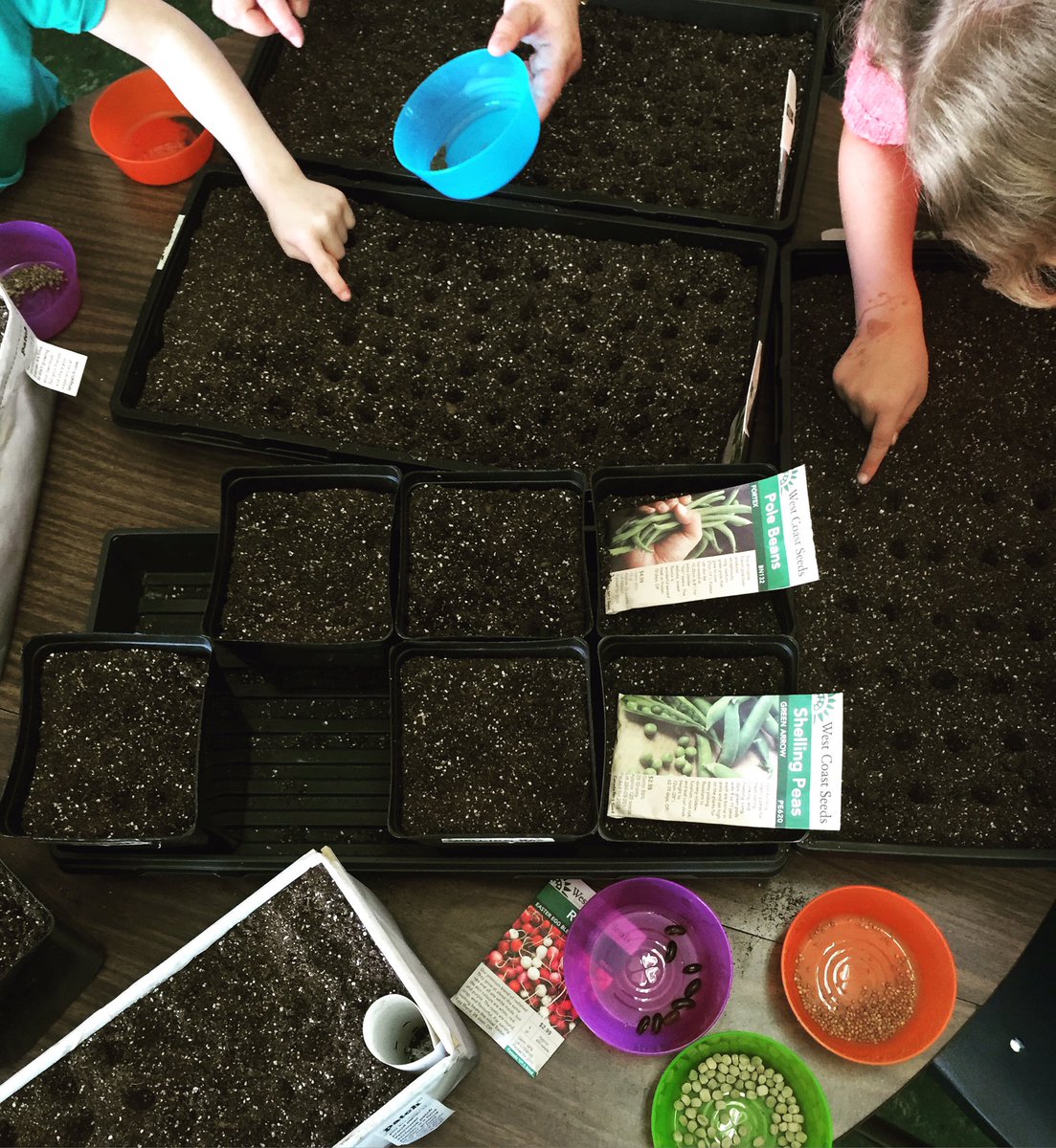 SandraLiu_TD's tweet image. #TdPlay supports kids #FunInClass #UrbanAgriculture #HealthyEating @KellyLam_TD  @MauroManzi_TD @catherinercook1