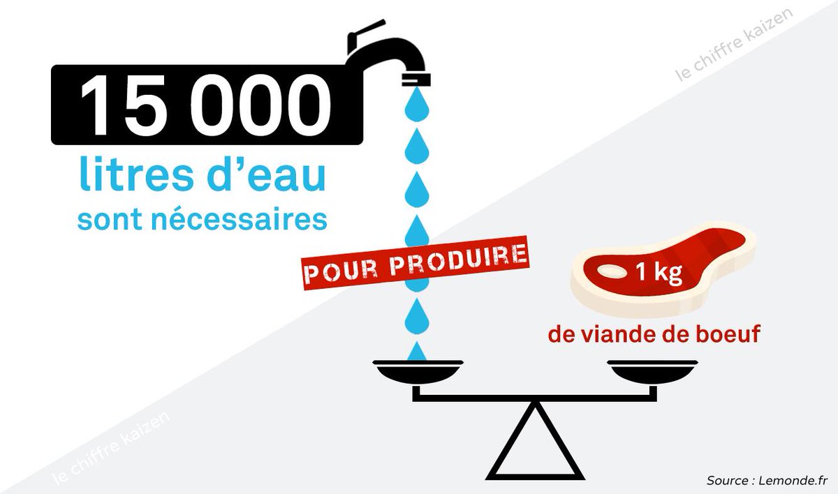 Et si on mangeait moins de viande ?!