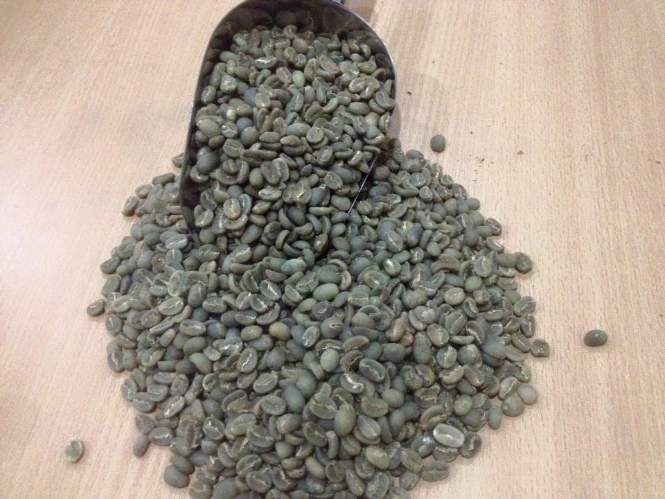 PutratTz's tweet photo. Jual Kopi Toraja,Kopi Arabika Toraja, Kopi Toraja Sapan Order sms,wa : 082226694065 
@KopiID @klinikkopi
https://t.co/JngQlmem5R