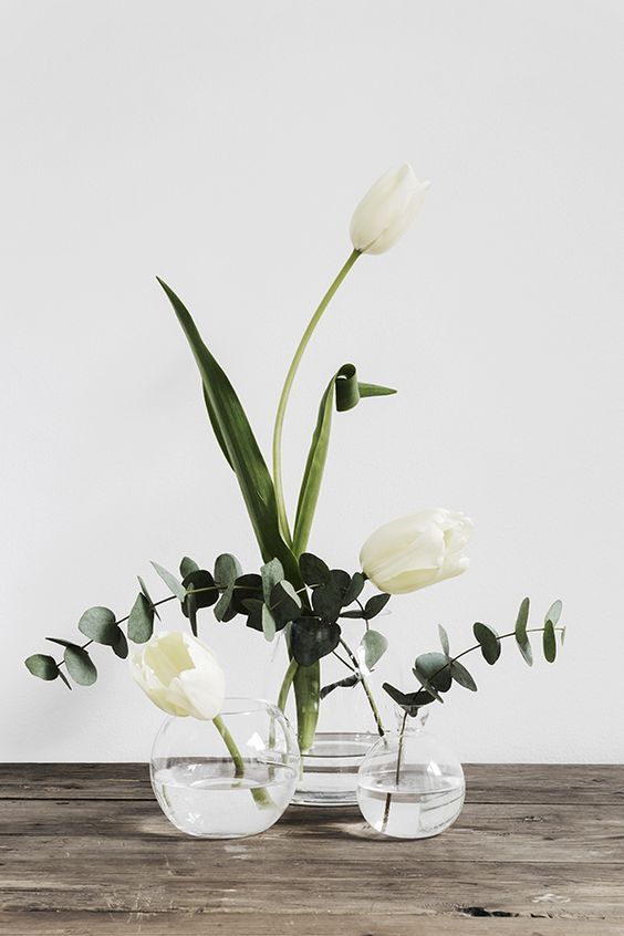 Liven up your work space with flowers almost as lovely as you 🌷🍃 ow.ly/RRGC300Se1o
#PRcom
#flower