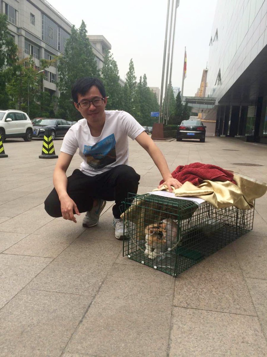 TACN Official tweet media