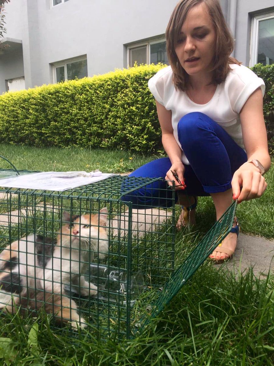 TACN Official tweet media