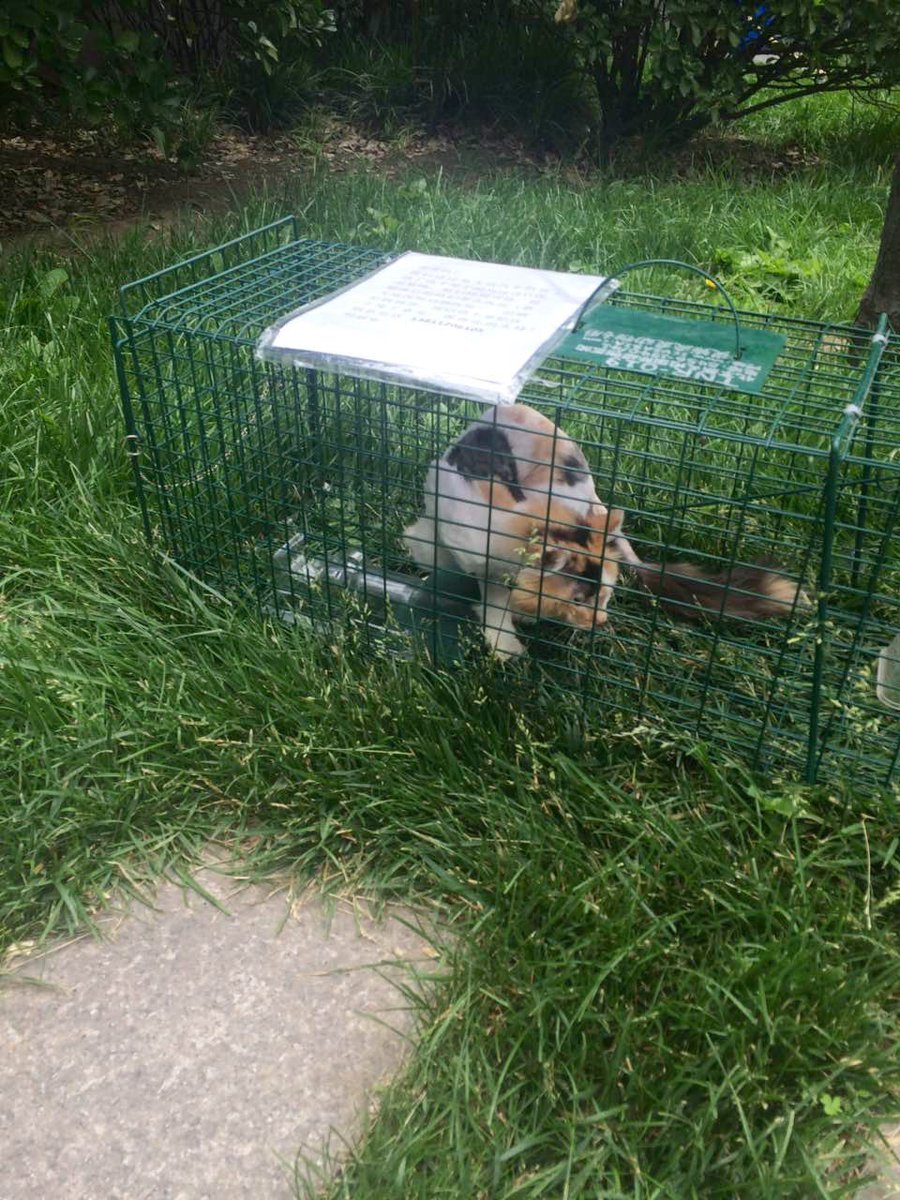 TACN Official tweet media