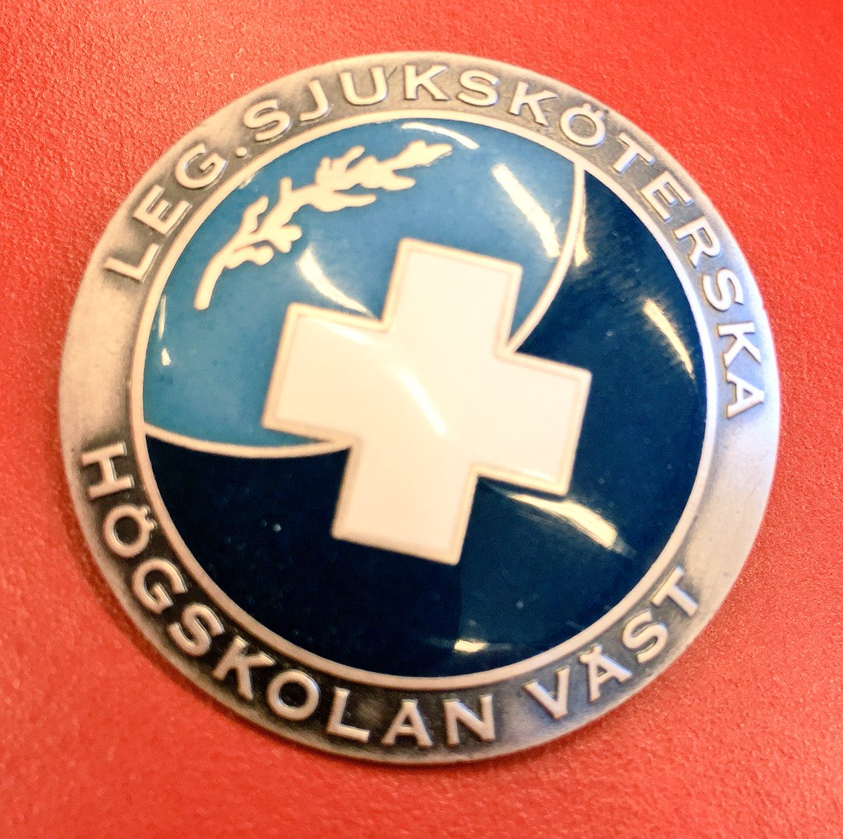 JoffenKleiven's tweet photo. Min egen #brosch @University_West #sjuksköterska @vardforbundet @Vardfokus @Swenurse_Kansli https://t.co/GmvauMfWQb