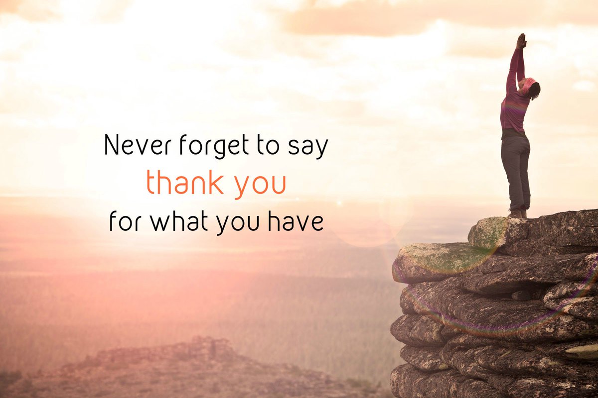 thank you thank you