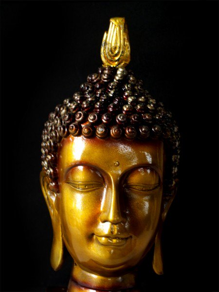 swaadesi's tweet photo. Registered today on https://t.co/7174EbpXjq and get this buddha face FREE.. Hurry Up....
https://t.co/tyIafgb8Iy https://t.co/8BdxPkOP4f