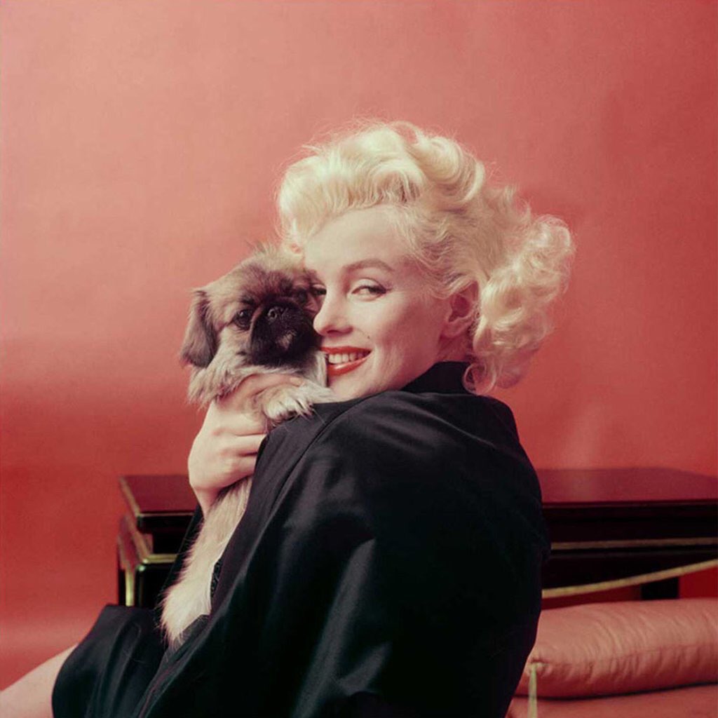 ongalleryart's tweet photo. #FridayFeeling Coffee &amp; #MarilynMonroe #popup #exhibition just turn up 2nd-30th June. 25 Effie Road, London SW6 1EL https://t.co/d4KmJGkbPi