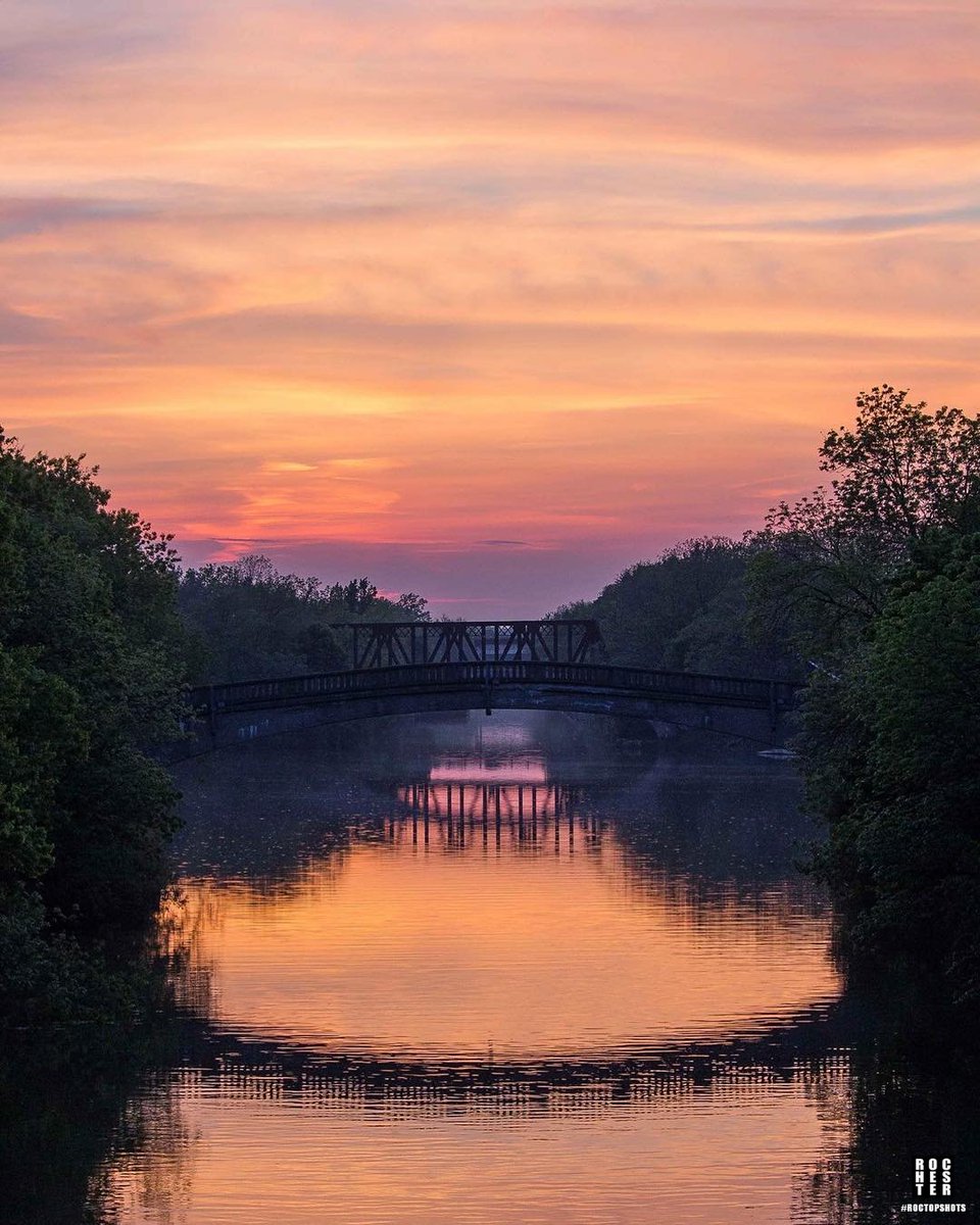 This Is Rochester! tweet media