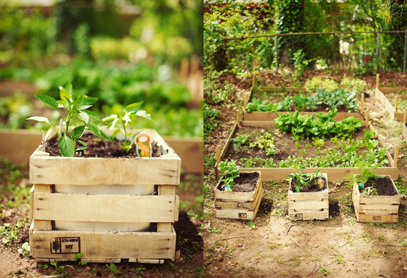 A simple, small #urban #garden in a wooden crate :-)
