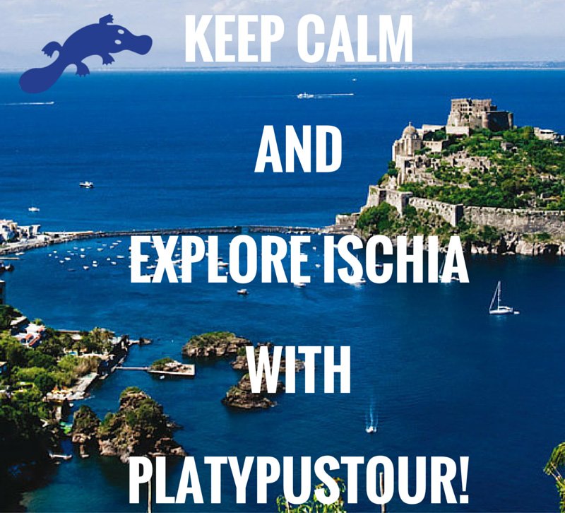 Are you ready?!! #platypustour #ischia #learningbytravelling #summer