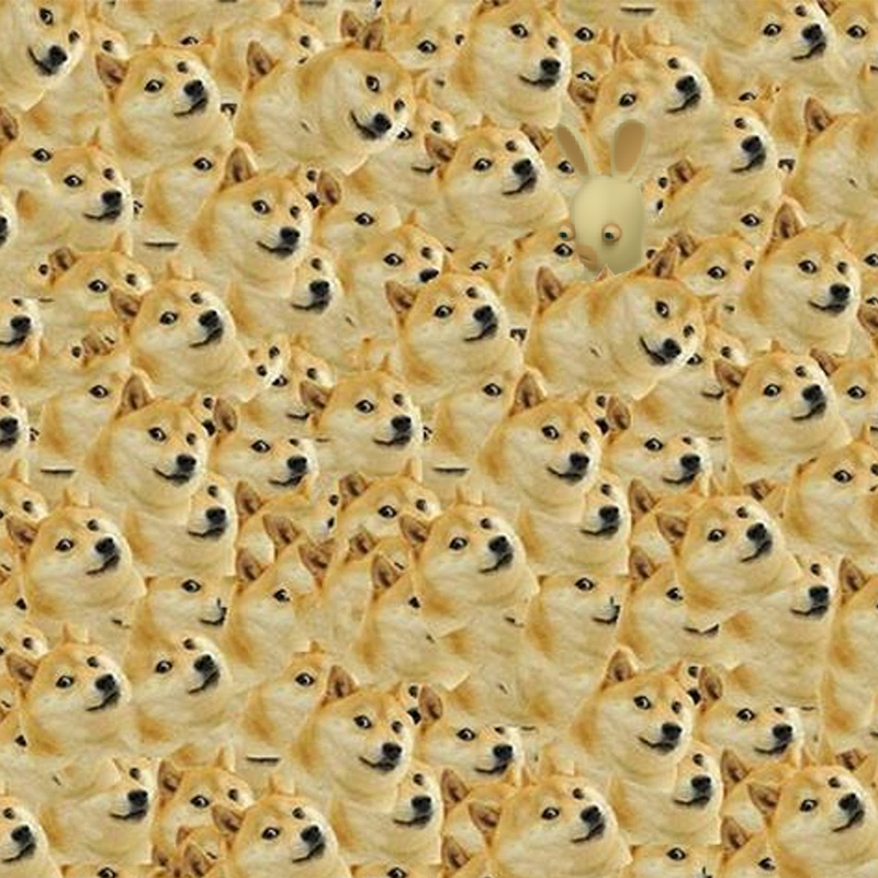 Find The Doges