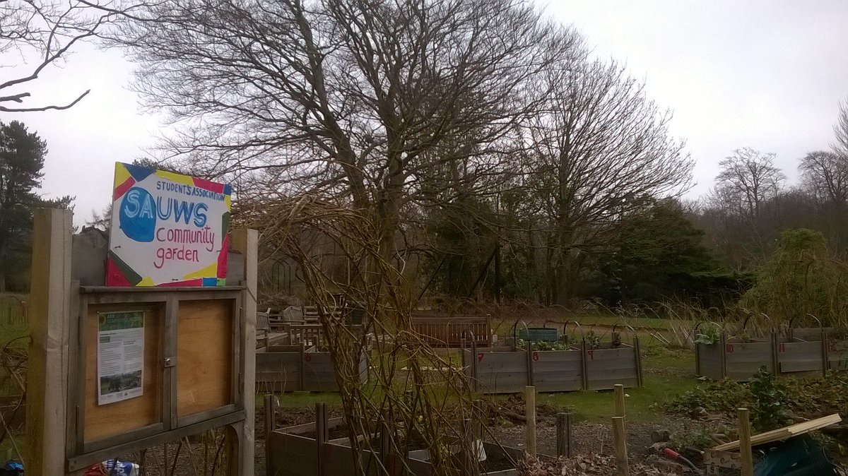 SAUWSenviro's tweet photo. Heritage Seed Sowing, UWS Community Garden - Ayr, Monday 6th June
1230-1330, Free to participate and all welcome! https://t.co/Sflz2vrVcH