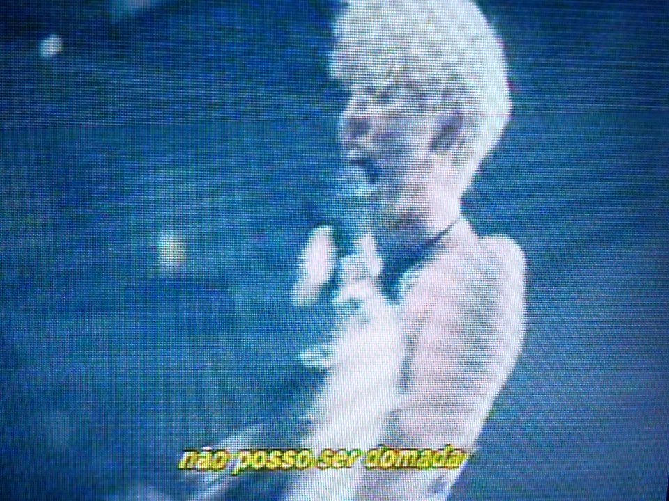 Mafia_MCyrus's tweet photo. "Não posso ser domada" / "I can't be tamed" https://t.co/0i9NRnkhIh