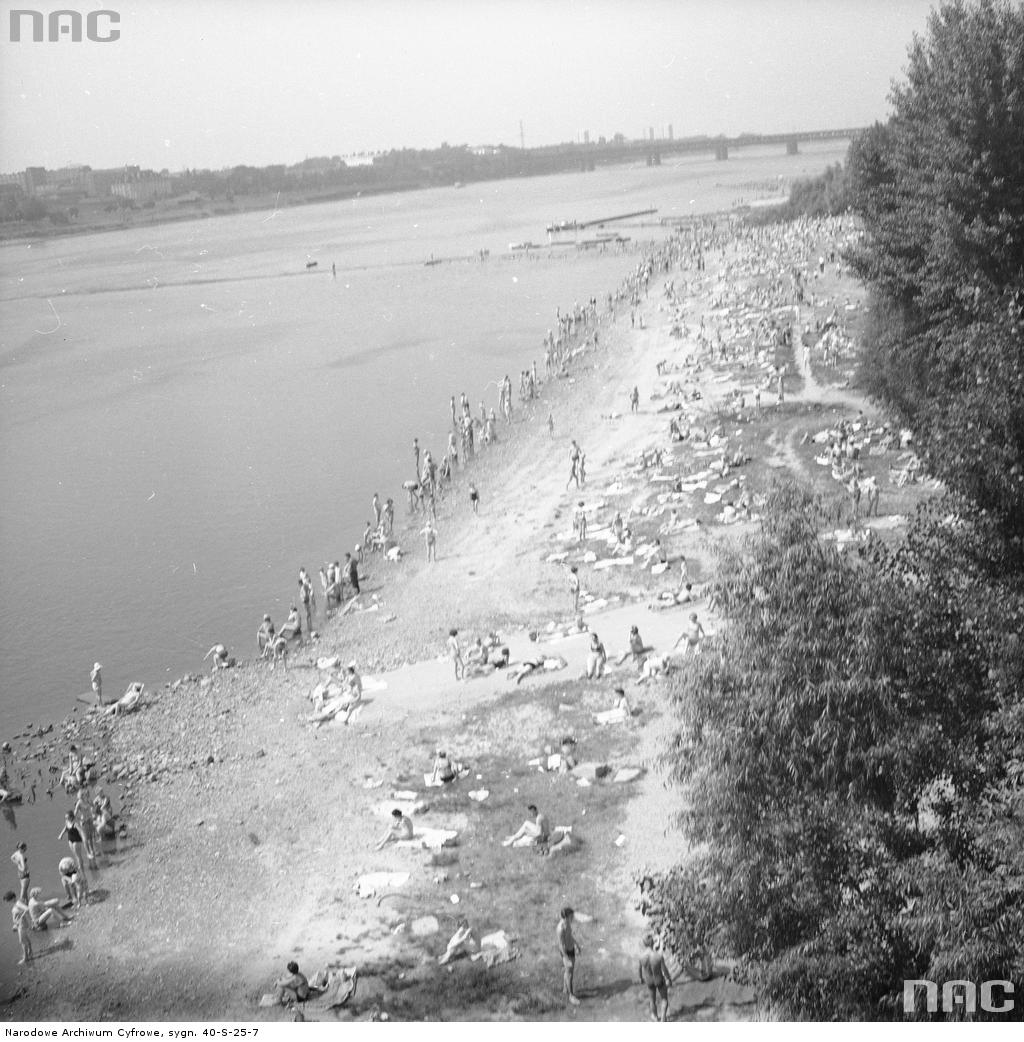 NAC (NAC_GOV_PL) Twitter