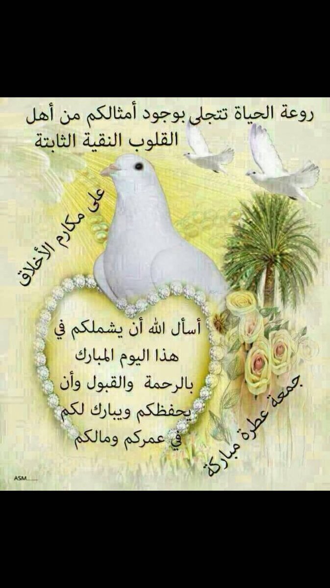 روعة الحياة تتجلى أمثالكم من أهل القلوب النقية الثابتة