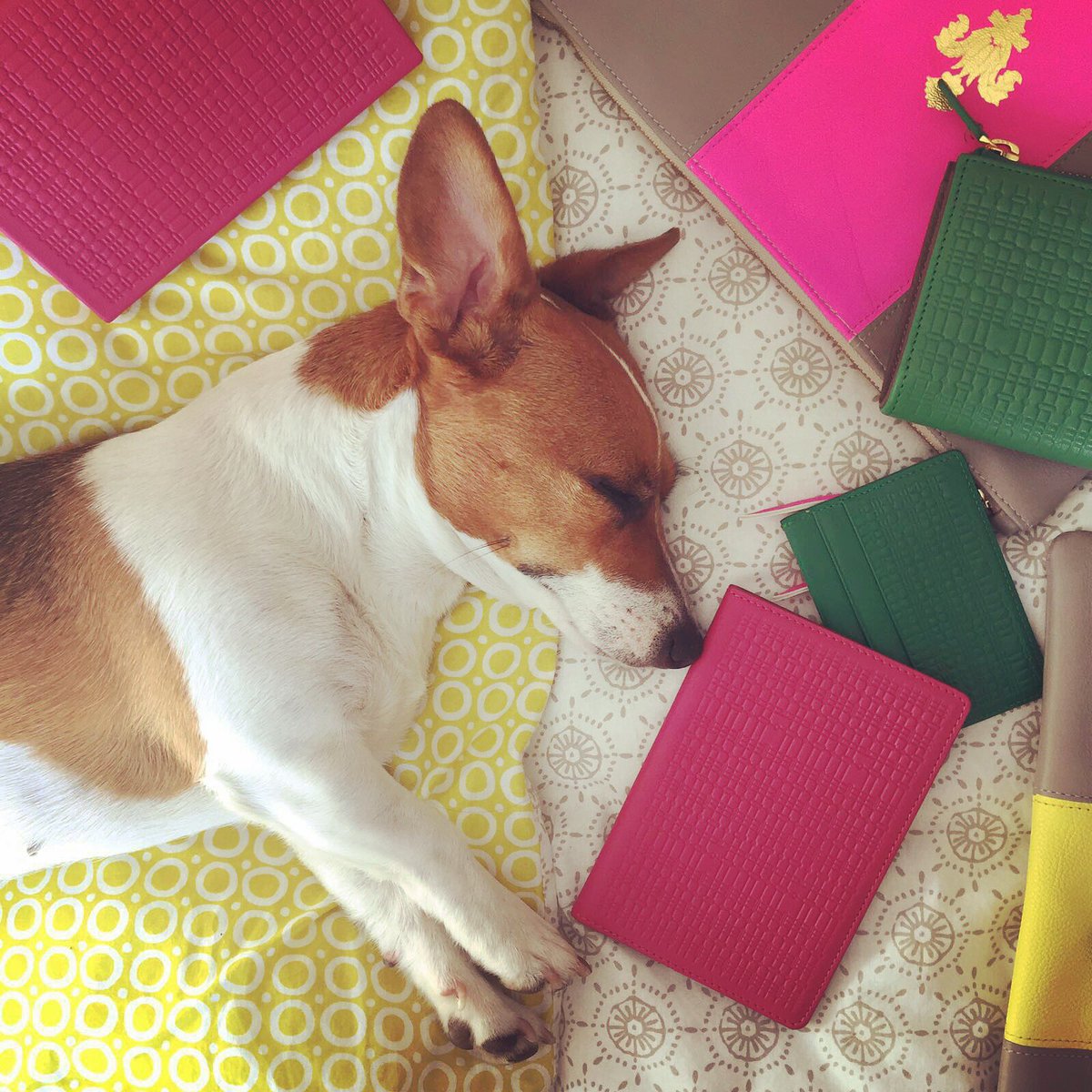 SPCCollection's tweet image. We've got that #fridayfeeling 💃🏼