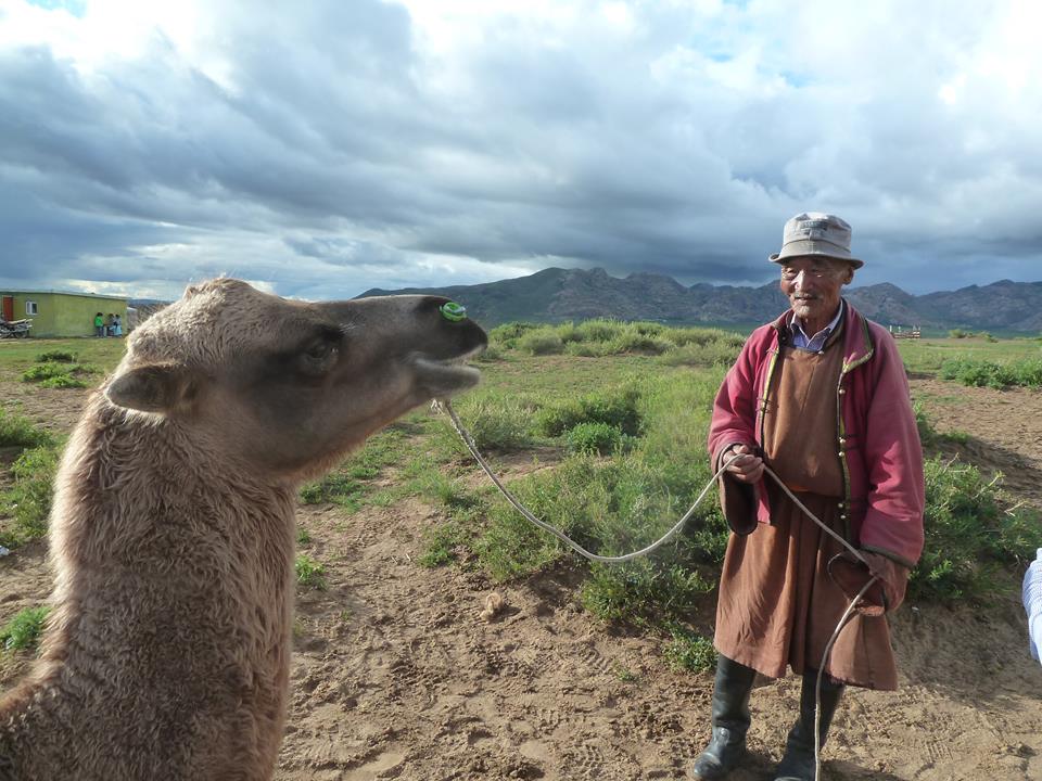 IdreTour's tweet photo. The best adventure &amp; experience in #Mongolia by #IdreTour  
For more info:  https://t.co/icBruq5noH https://t.co/4c2KB0n2Er