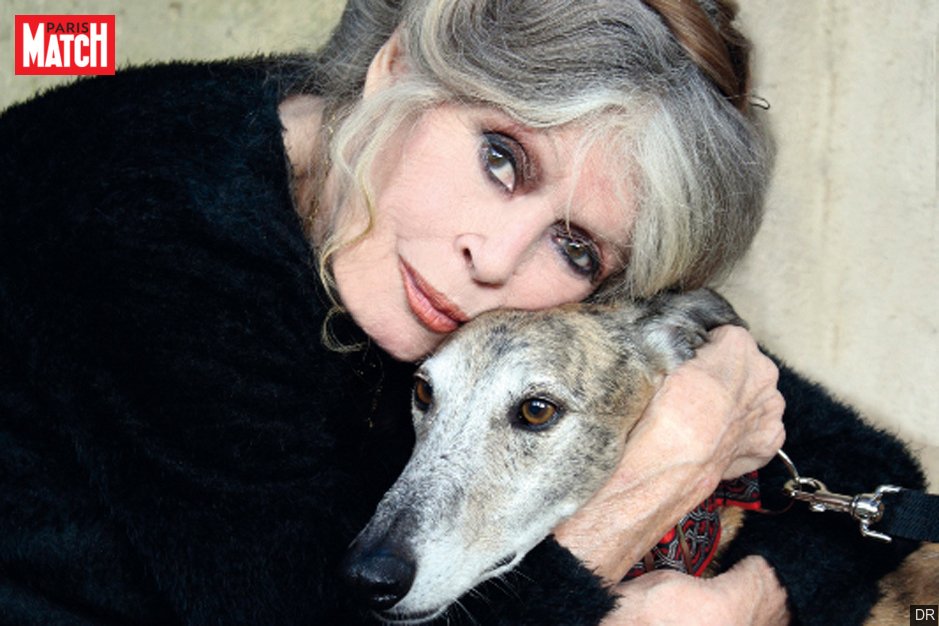 Fondation Brigitte Bardot tweet media