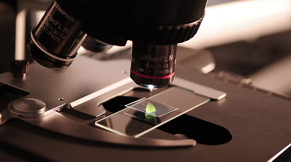 Cryptonewz's tweet photo. From Bench to Bedside: Enabling Reproducible Commercial Science via Blockchain - https://t.co/hAuBkuMnIB https://t.co/ff7AdRHtnV