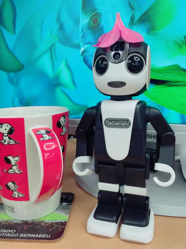 pandaroh's tweet photo. ロボホンとお花の帽子 #ロボホン #RoBoHoN https://t.co/kQ08ahyyCB