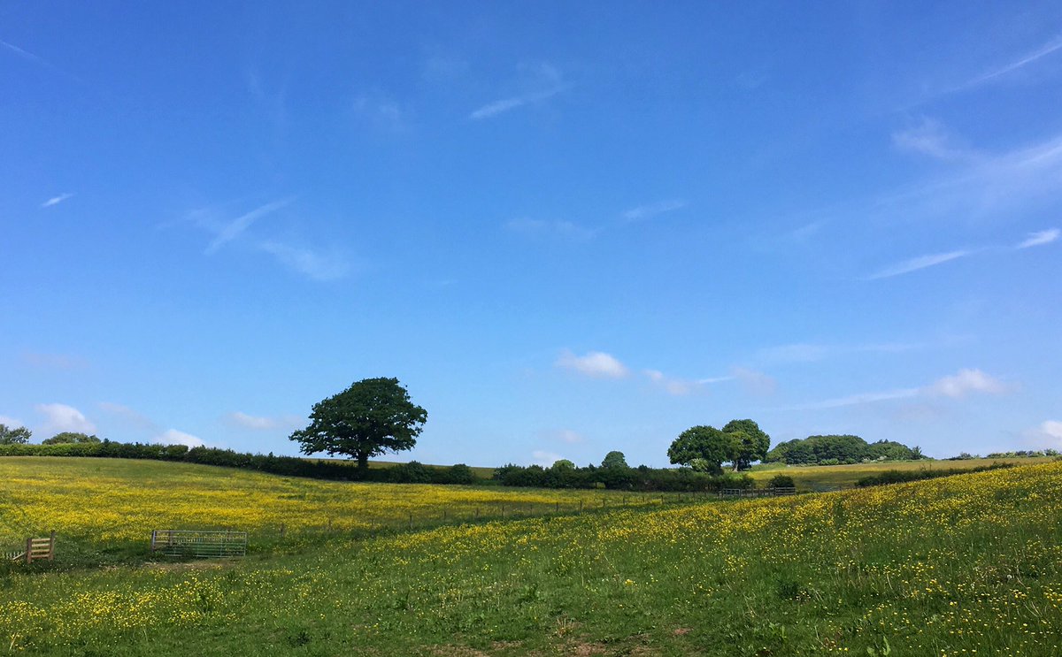 1GirlAndCamera's tweet photo. Summer vibes in the Welsh #wyevalley #wales #omgb countryside @ItsYourWales @ruthwignall @countryfi @WalesOnline https://t.co/hX9n74FvWP