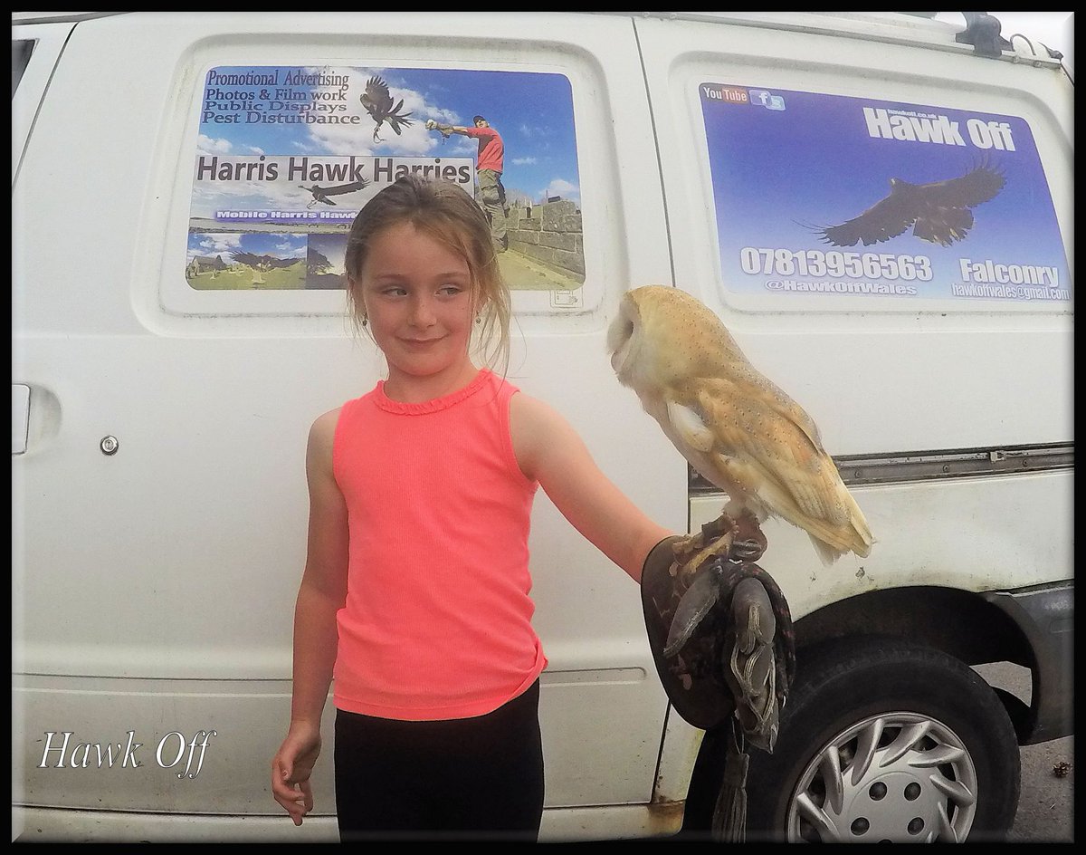 HawkOffWales's tweet photo. Orion #BarnOwl has a new Friend On 1 of our #HawkWalks & #WildlifeTalks @Discovercarms @fly2wales @LlanelliHerald https://t.co/b5NQjdu5kg
