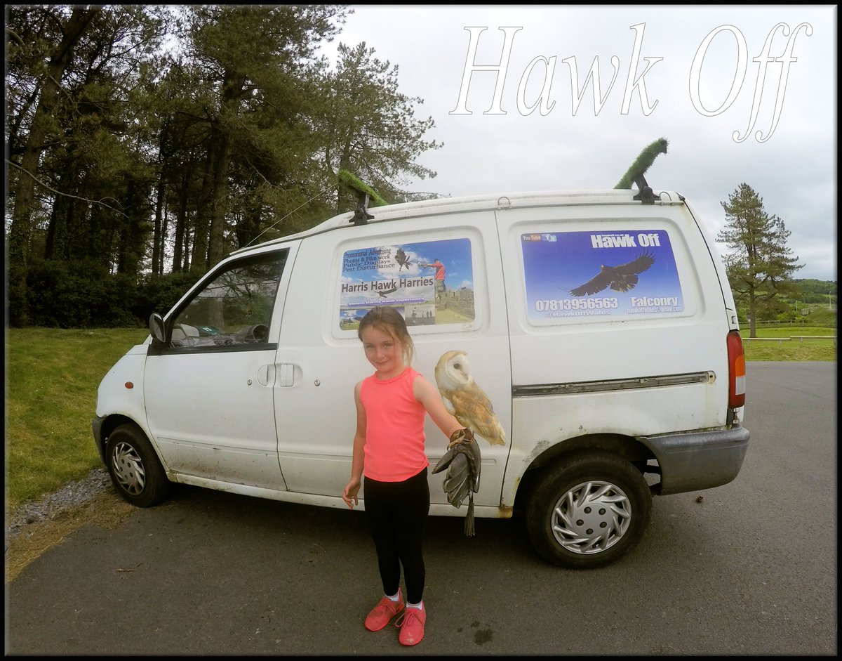 HawkOffWales's tweet photo. Orion #BarnOwl has a new Friend On 1 of our #HawkWalks & #WildlifeTalks @Discovercarms @fly2wales @LlanelliHerald https://t.co/b5NQjdu5kg