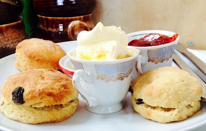 meetingroomcafe's tweet photo. #vegan #cream #teas anyone? Yes please! We're open 11-2 tmrw @vegan_eats @veganwales @CardiffFood @CardiffVegSoc https://t.co/abIyULAB9O