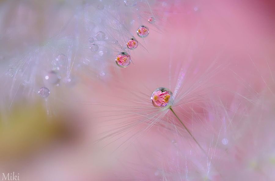 Peace can be a lens through which you see the world. 
Be it
Live it.
Radiate it out.
Peace is an inside job.

W Dyer