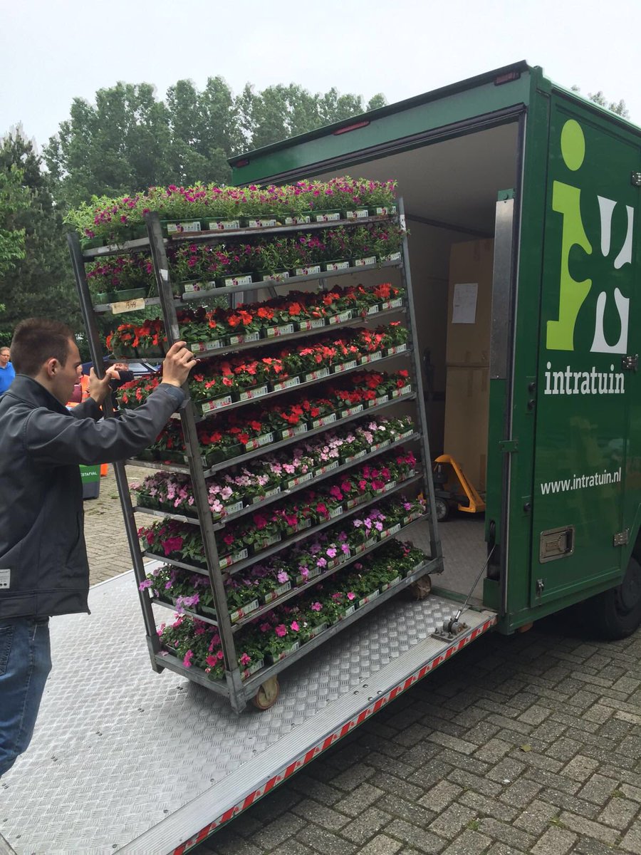 Broccoli Festival (@Broccofestival) / Posts / X