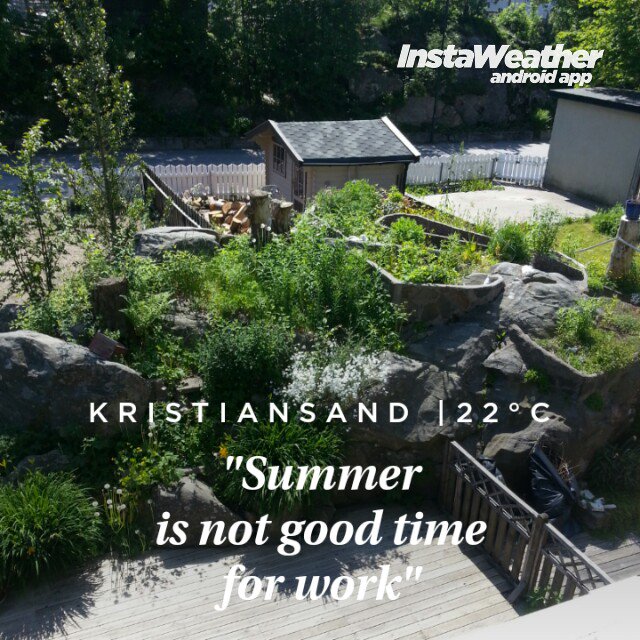 Thomas Ludvigsen tweet media