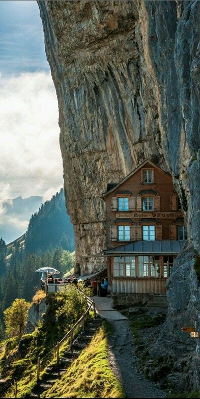 Foodinea's tweet photo. Happy #WorldEnvironmentDay !!!
Nature is a gift of life🌱🌰🌱 #Travel #AescherHotel #LuxuryTravel https://t.co/RokLSn5OvL