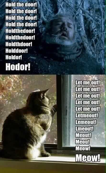 Para los #CatLovers y los fanaticos de #Got ... Un poco de humor :D   Feliz viernes para todos!