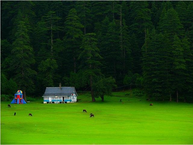 TattvaSpa's tweet photo. This is how peak summer looks like at Dalhousie #wellness #spacation #summer #Himalaya #takethatvacationnow https://t.co/Mq00Eh7pIb