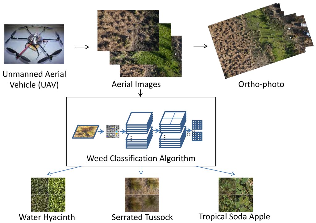 RemoteSens_MDPI's tweet photo. Feature Learning Based Approach for #WeedClassification https://t.co/6ArS0TT2OM #DigitalCamera #UAV https://t.co/6cJlDj3QXt