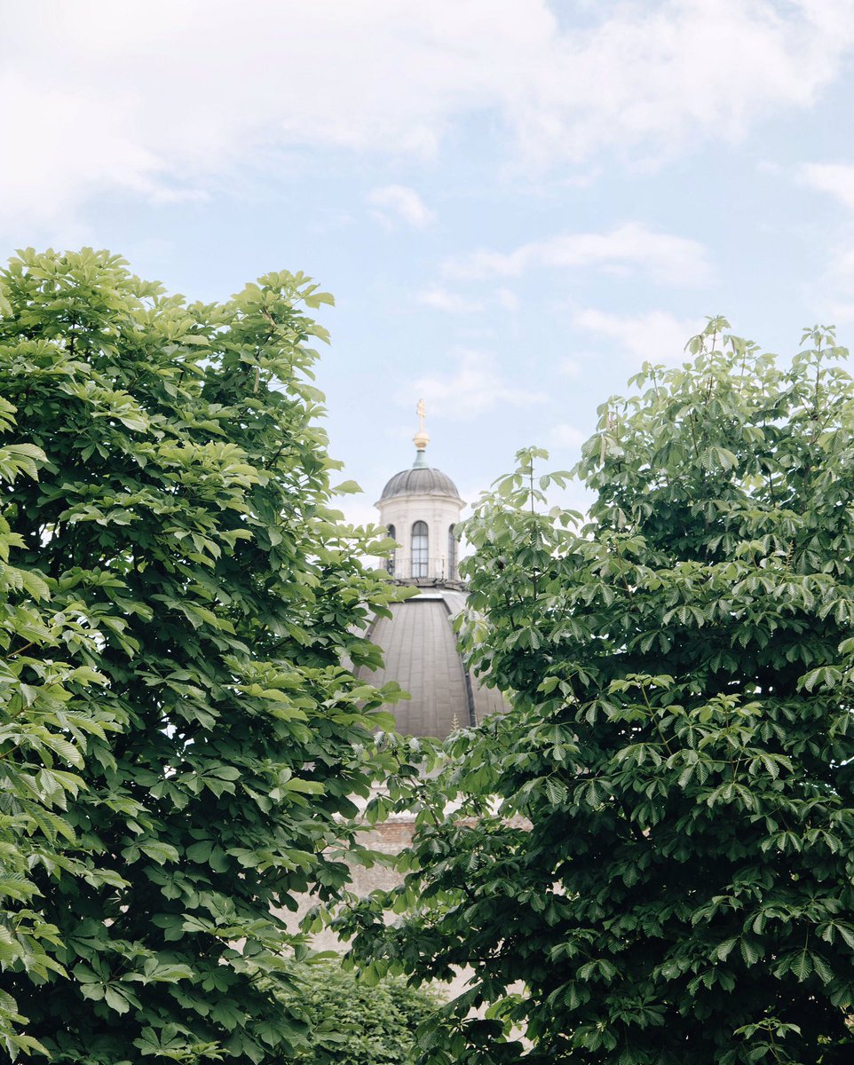 TheAmeStory's tweet photo. #Near or #far, hidden gorgeousnesses are everywhere in #Vienna #travel #wanderlust #summer #trip https://t.co/19VOEFGTC7