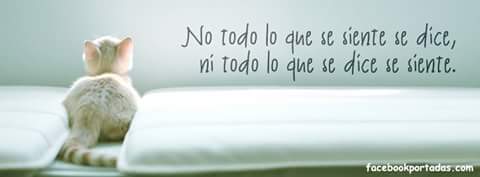 oyadelflor's tweet photo. Una realidad https://t.co/Hwvz4kFYaI