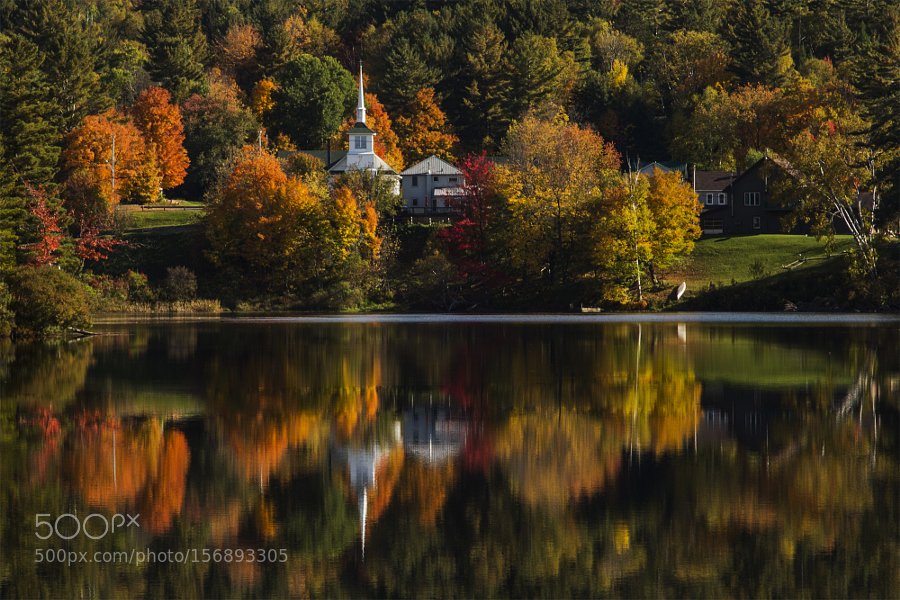 RealWeatherPics's tweet photo. leaves by jensbernard https://t.co/LJmXvWiJRd https://t.co/nWETtpZQpz