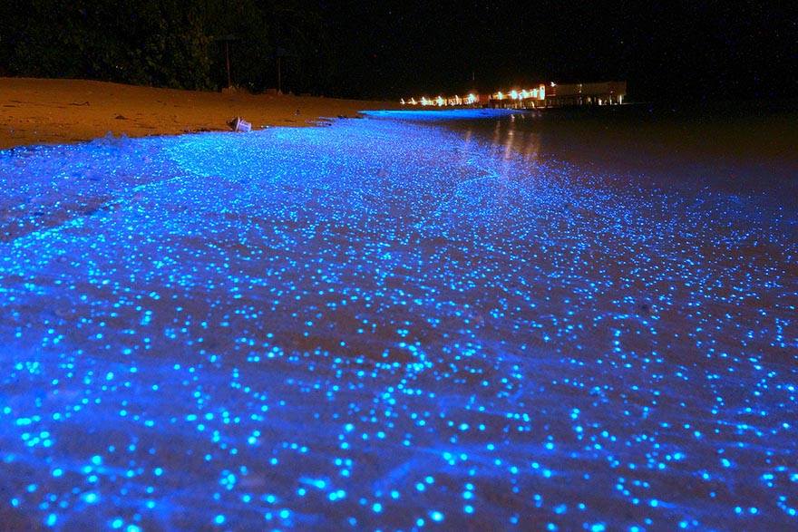 Ecogranjero's tweet photo. Playa en las Maldivas, conocida por la acumulación de un microscópico plancton que al agitarse emana luz https://t.co/A97fmAS0JK