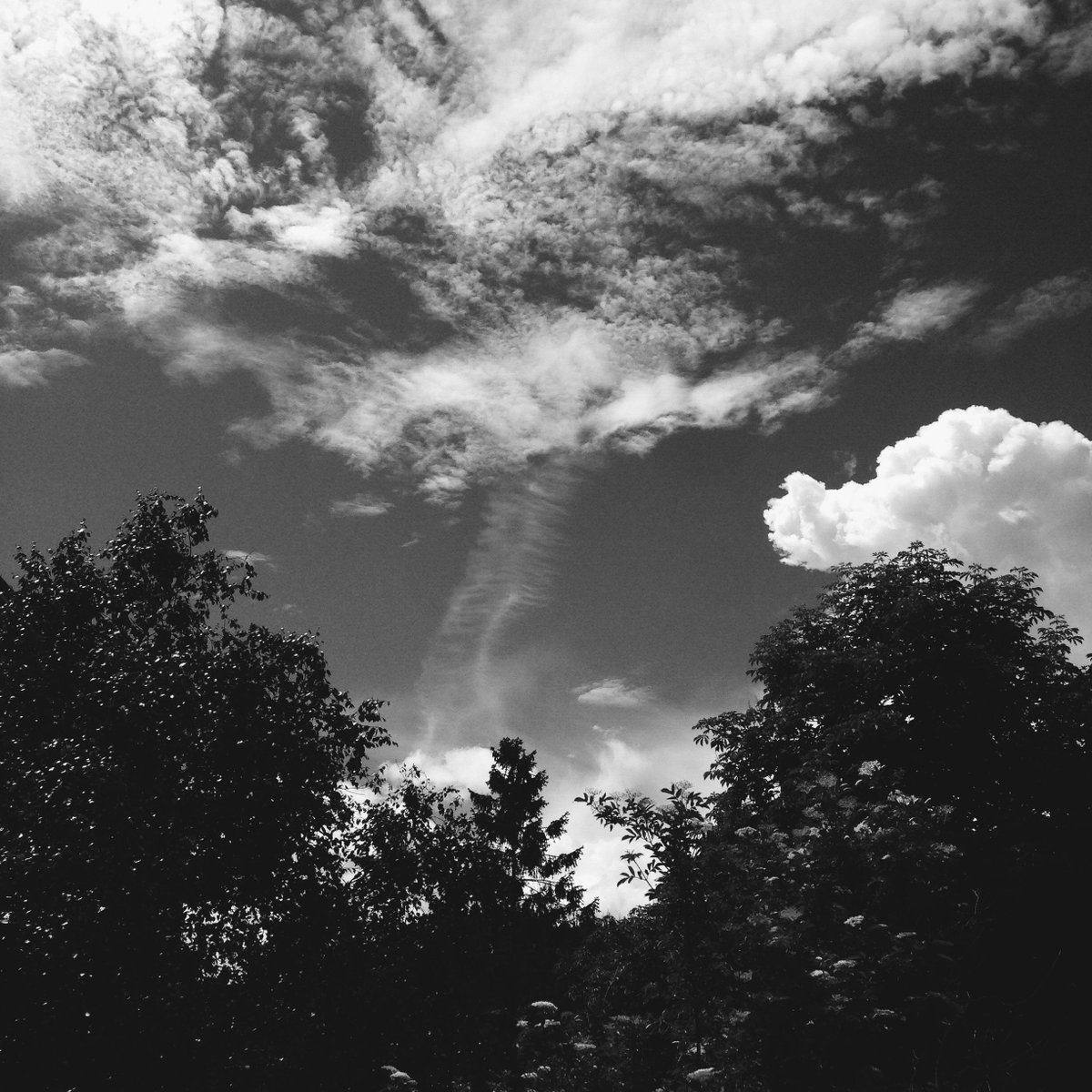 clouds and trees and stuff.... 👻