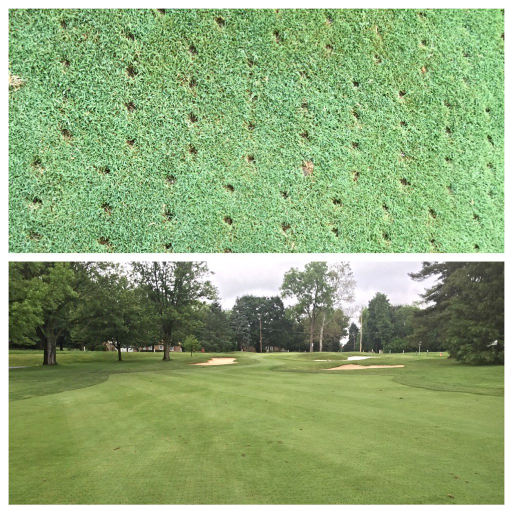 kempsuturf's tweet image. Could not have asked for a better result from front nine fwy aerification #properplanning #properexecution