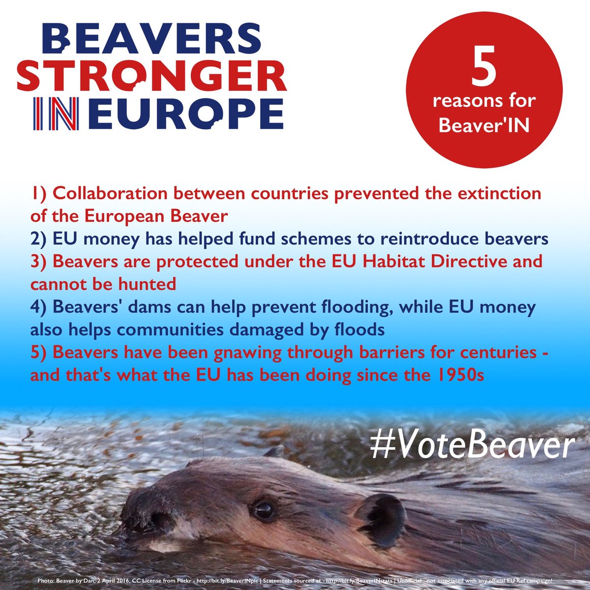 Beaver_IN_EU's tweet photo. @TelegraphNews @dannyctkemp Beavers would be defiantly for #Remain! #BeaverIn #VoteBeaver https://t.co/A7UqVBHUR8
